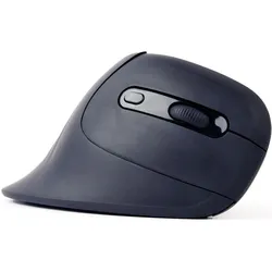 Gembird Ergonomic mouse 6 buttons black (Kabellos), Maus, Schwarz
