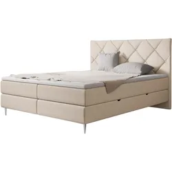 BOXBETT Letra - H3