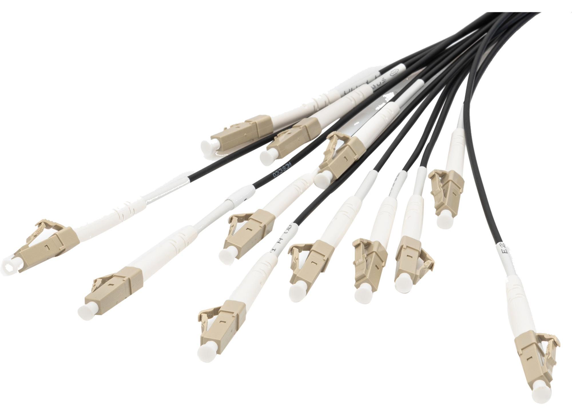 Digitus Vorkonfektionierte Glasfaser Universal Breakout Kabel, Multimode OM4, 12 Fasern, LC/UPC - LC/UPC, 50 m, U-DQ(ZN) BH, OM4, LC, LC
