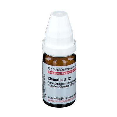 Clematis D 12 Globuli 10 g