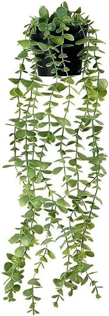 Merkloze Hangende Kunstplant Eucalyptus Groen - Wanddecoratie Binnen - 56 cm Hoog