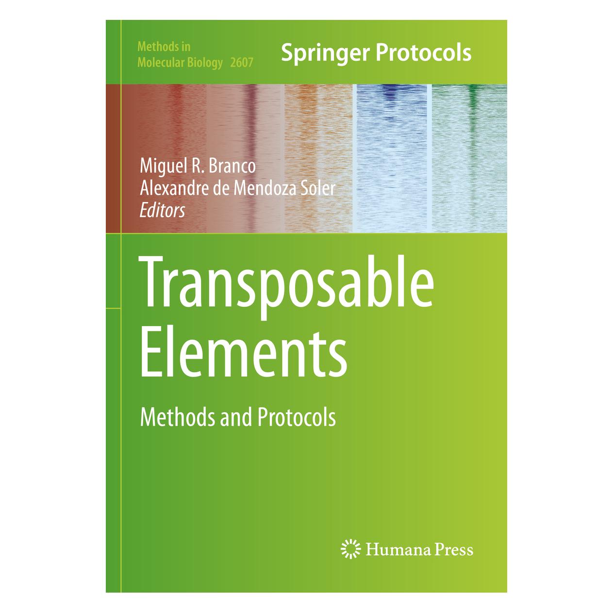 Springer Transposable Elements (Englisch, Softcover, Alexandre de Mendoza Soler, Miguel R. Branco) (56985541)