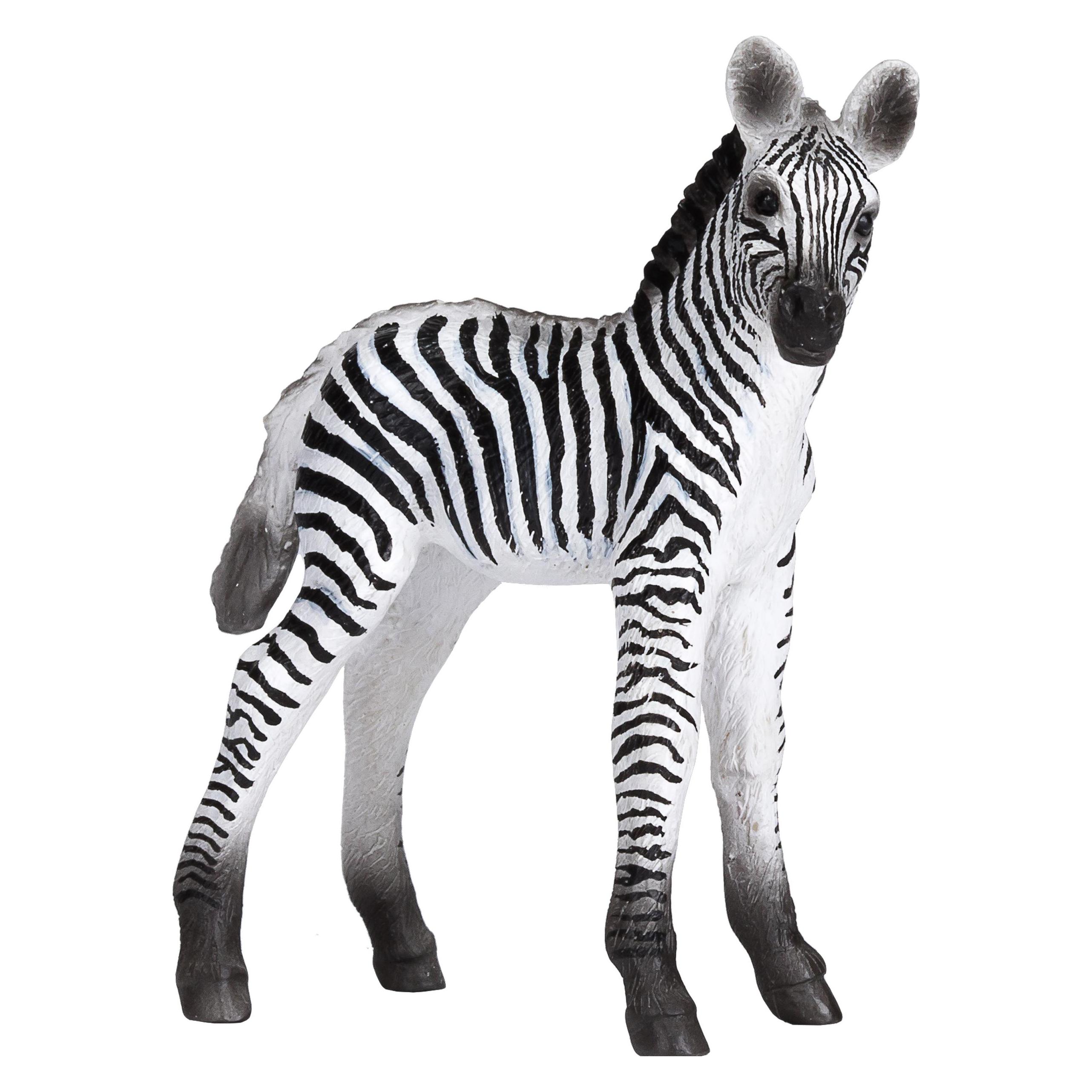 small foot Zebrafohlen (387394)