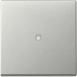 Gira 3290600 Wippe Kontrollfenster System 55 Edelstahl