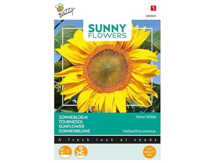 Buzzy Sunny Flowers, zonnebloem King Kong
