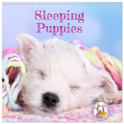 Sleeping Puppies (Wall Calendar 2027 12 × 12 Inch) CALVENDO 12 Month Wall Calendar