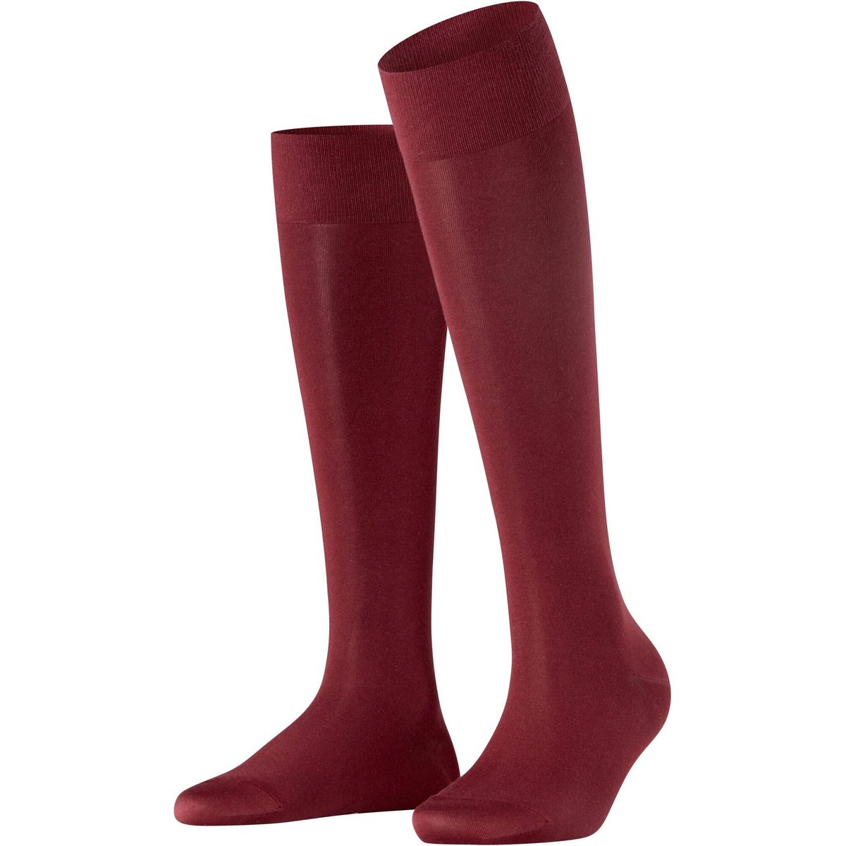 Falke Cotton Touch Damen Kniestrümpfe barolo (8596) 39-42 46605-8596-39-42