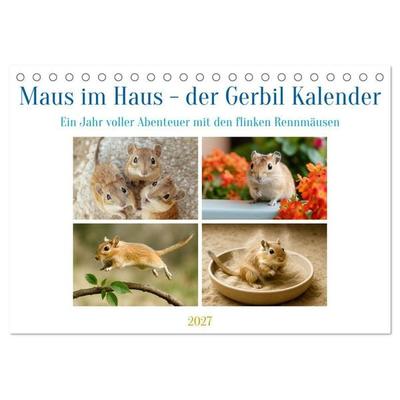 Maus im Haus - der Gerbil Kalender (Tischkalender 2027 DIN A5 quer), CALVENDO Monatskalender