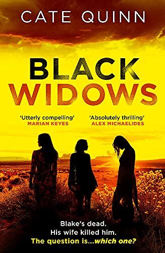 Cate Quinn - Black Widows: ‘I could not put it down!’ MARIAN KEYES - Preis vom 10.10.2026 11:48:34 h