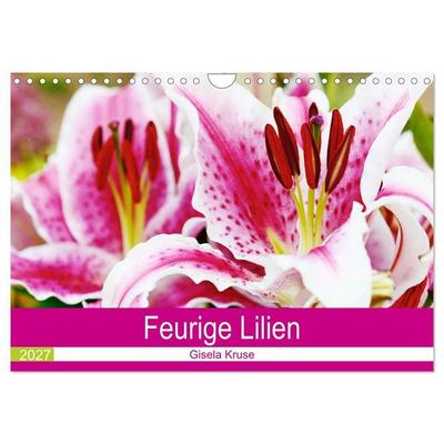 Feurige Lilien (Wandkalender 2027 DIN A4 quer), CALVENDO Monatskalender