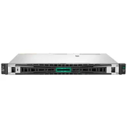 HPE ProLiant DL20 Gen11 1HE Xeon-E 6325P 4-Core 3.5GHz 1x32GB-U 2xLFF Hot Plug 2x2TB HDD 290W Server (32 GB, Rack Server), Server