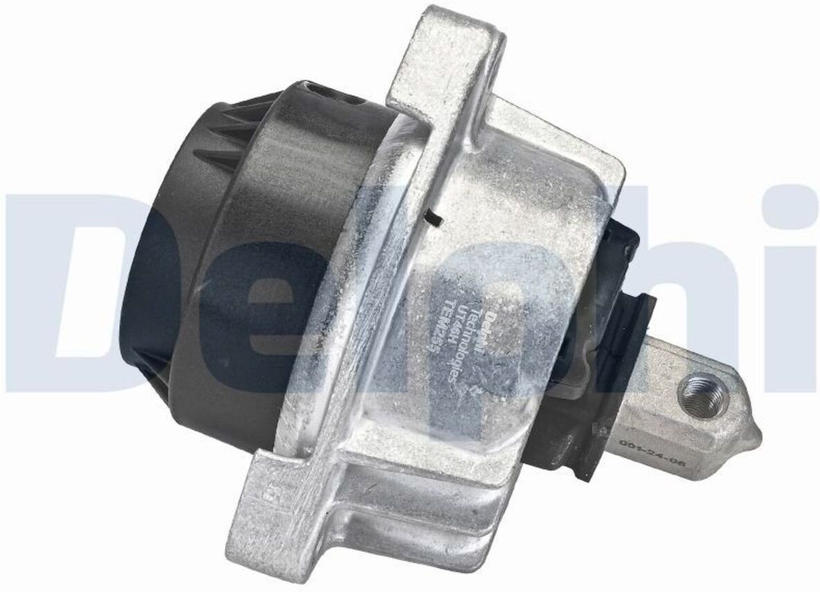 Motorträger DELPHI TEM255