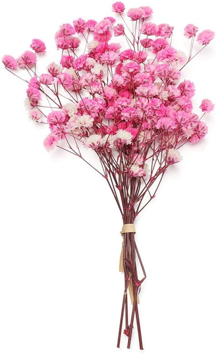 Mini boeket gedroogde bloemen - Donkerroze - Natuurlijke decoratie