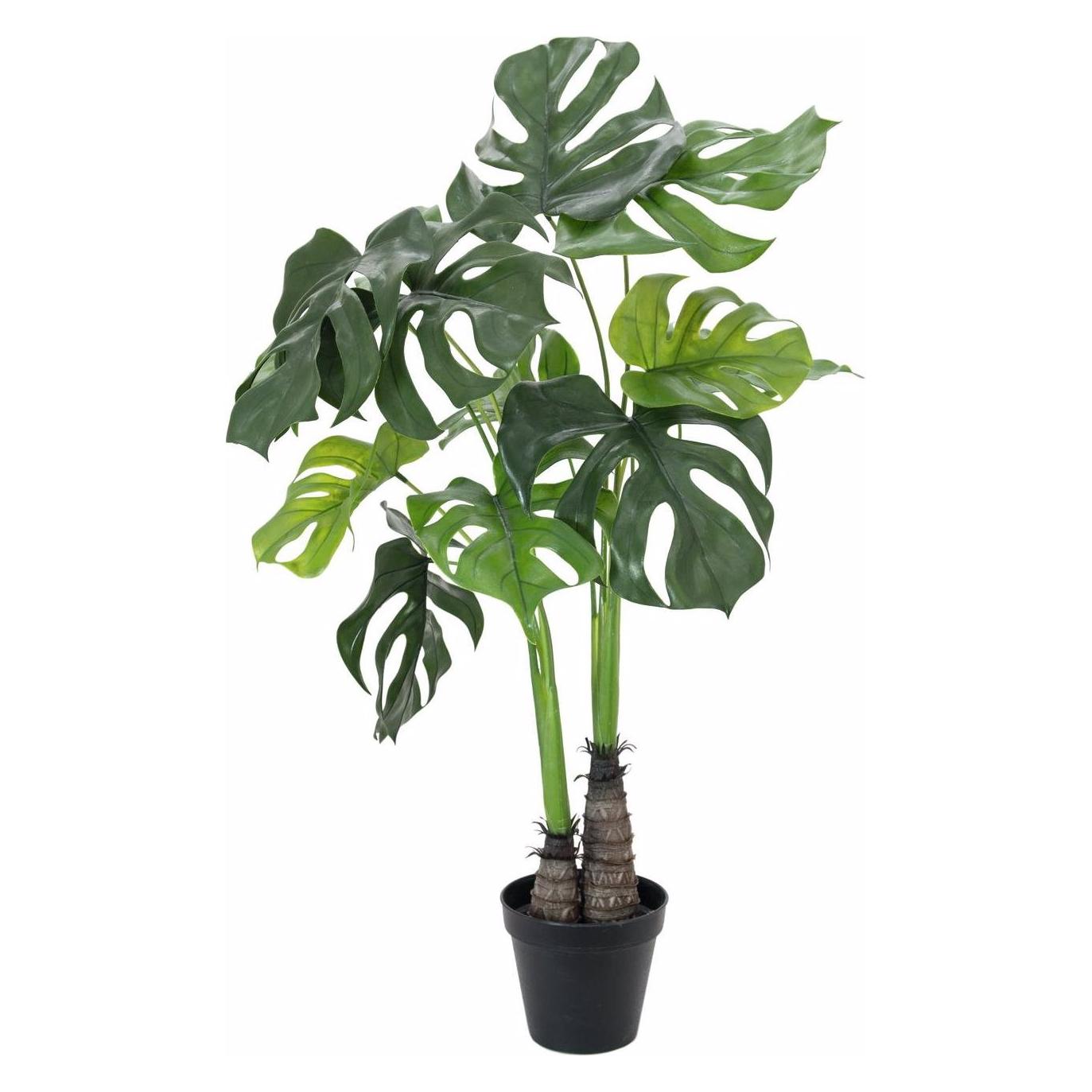 Europalms Monstera deliciosa (90 cm) (82600220)