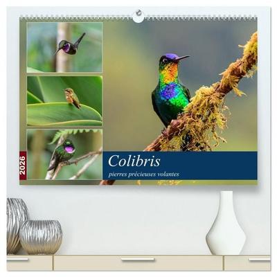 Colibris - pierres précieuses volantes (Calendrier mural 2026 DIN A2 vertical) calendrier de bureau