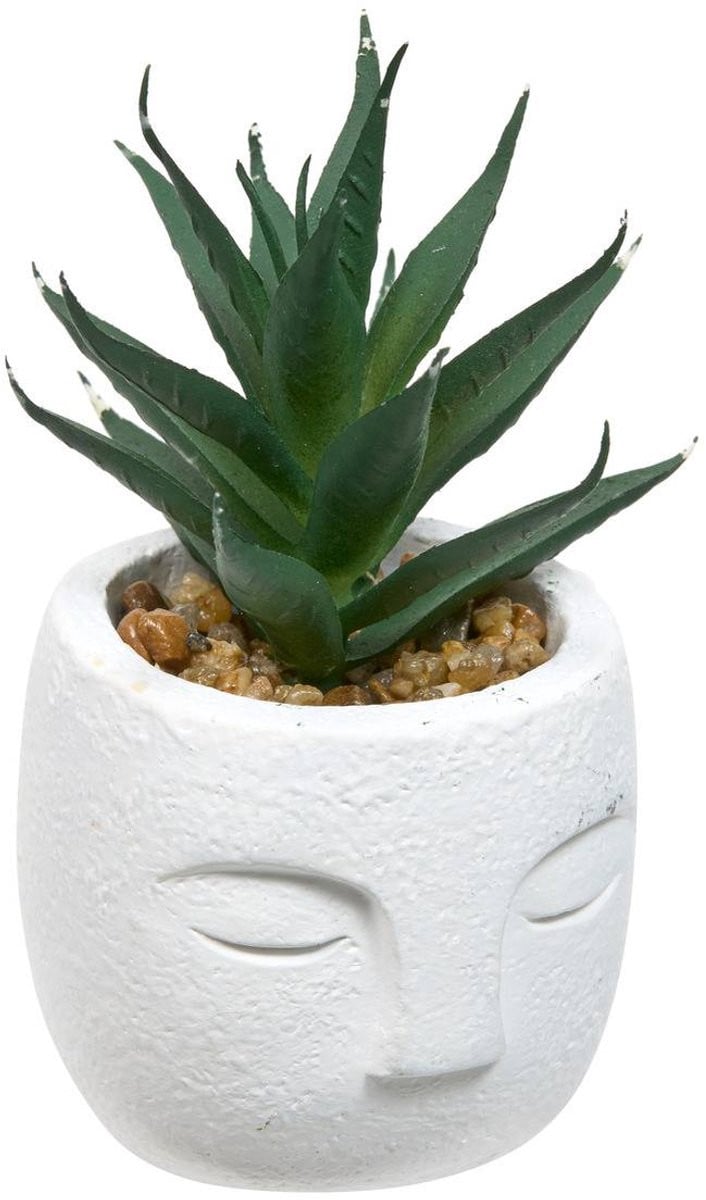 Atmosphera Kunstplant TERI Groen