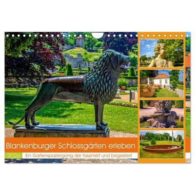 Blankenburger Schlossgärten erleben (Wandkalender 2026 DIN A4 quer), CALVENDO Monatskalender