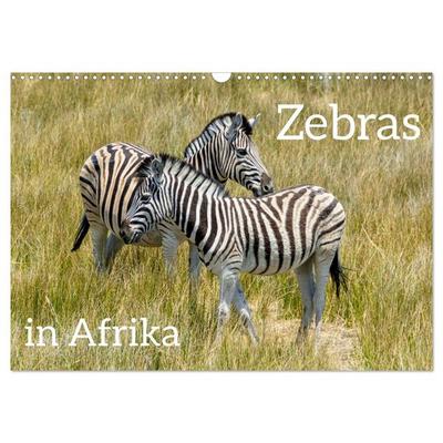 Zebras in Afrika (Wandkalender 2026 DIN A3 quer), CALVENDO Monatskalender