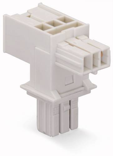 WAGO Netz-T-Verteiler Netz-Stecker - Netz-Buchse, Netz-Buchse Gesamtpolzahl: 2 Lichtgrau 25St.