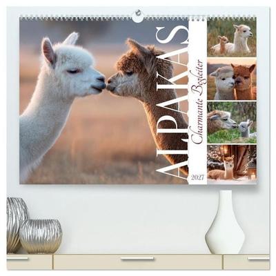Alpakas - Charmante Begleiter (hochwertiger Premium Wandkalender 2027 DIN A2 quer), Kunstdruck in Hochglanz