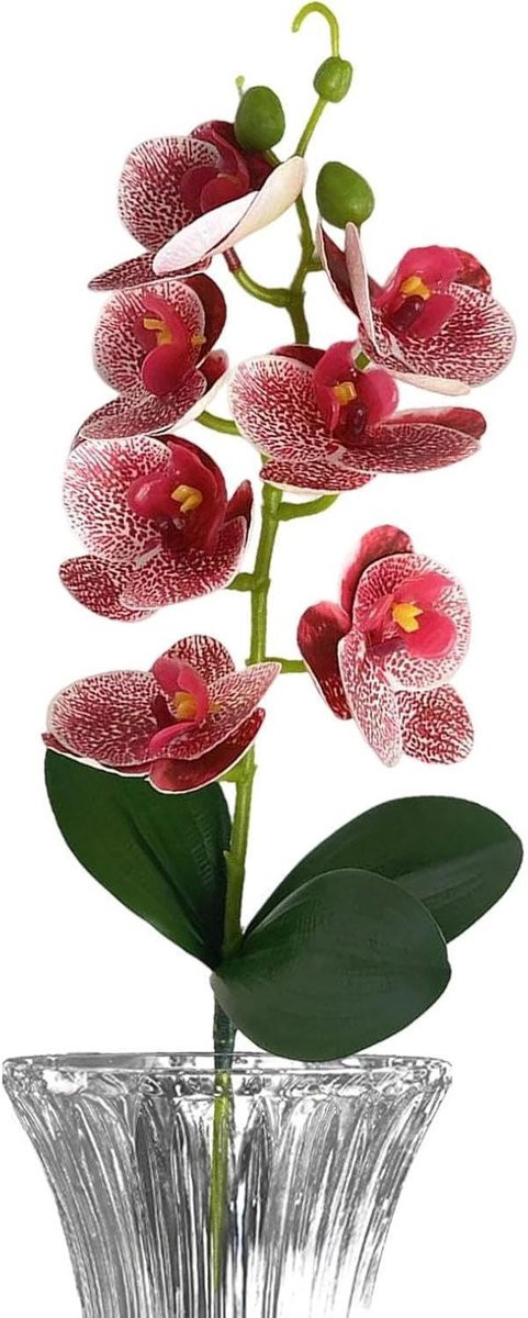 Realistische Kunstorchidee Phalaenopsis - Roze - Hoogte: 37,5 cm