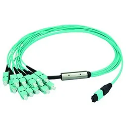 Telegärtner MPO/MTP Aufteilkbl türk 1m 100010921