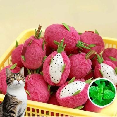 Inspire Essentials Dragon Fruit Catnip Plush Chew Toy Interactive Teeth Cleaning Cat Toy Dragon Fruit Catnip Plush Chew Toy Interactive Teeth Cleaning Cat Toy