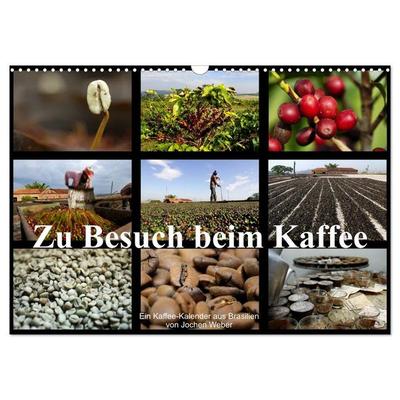Zu Besuch beim Kaffee (Wandkalender 2026 DIN A3 quer), CALVENDO Monatskalender