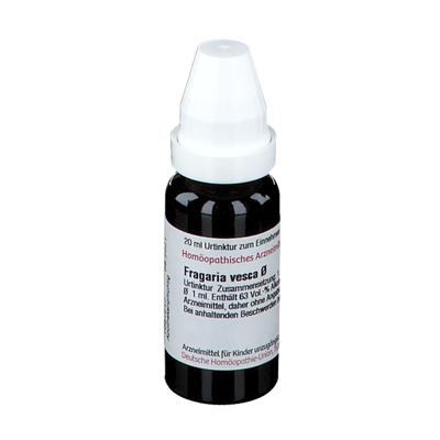 Fragaria Vesca Urtinktur 20 ml Dilution