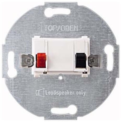 Merten Module haut-parleur pws 1 place 466919 (466919)