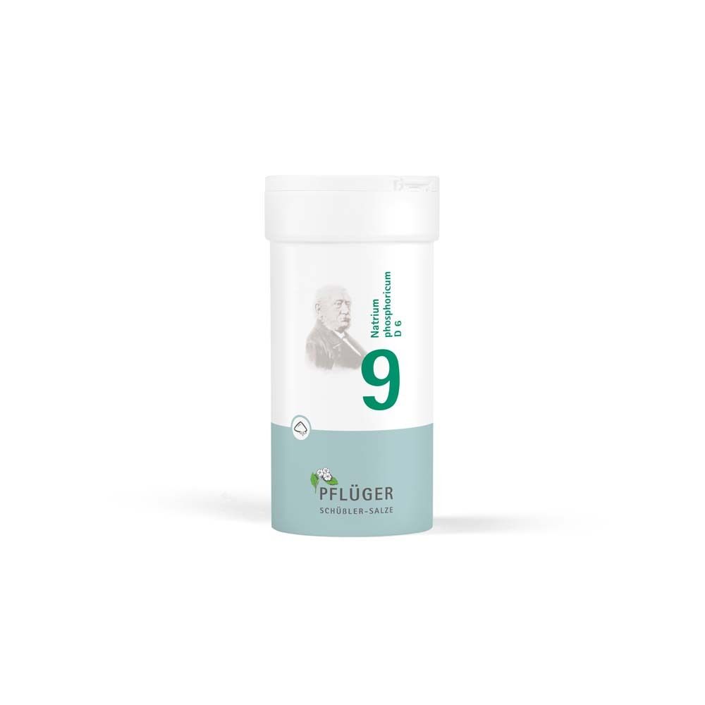 Biochemie Pflüger 9 Natrium phosphoricum D 6 Pulv. 100 g Pulver