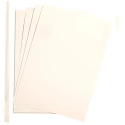 Clairefontaine Etival Color® , Zeichenpapier 50x65 cm 160g, Ries mit 250 Bogen - Weiß 37900C