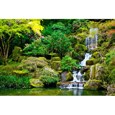 Fototapete PAPERMOON "Garden Pond", bunt, B:3m L:2,23m, Vlies, Tapeten
