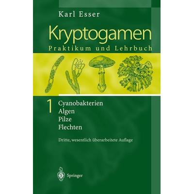Kryptogamen 1, Gebundene Ausgabe von Karl Esser, Springer Berlin, 978-3-540-66451-2