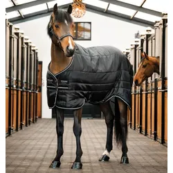 Stalldecke HW Easy-Layer Stable 100g 100g