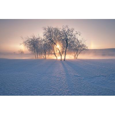 Fototapete PAPERMOON "Photo-Art BINGO Z, SCHNEELANDSCHAFT IM WINTER", bunt, B:3,5m L:2,6m, Vlies, Tapeten