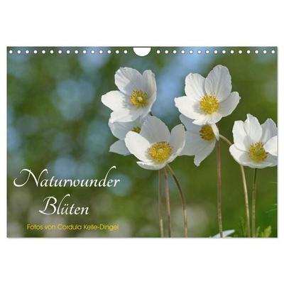Naturwunder Blüten (Wandkalender 2027 DIN A4 quer), CALVENDO Monatskalender