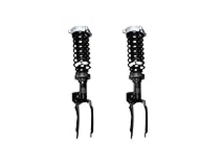 Amortisseurs à gaz 2x Amortisseurs Avant Ou Arrière Pour Cayenne Pour 955 9PA 2003-2006 Ensemble Ressorts Hélicoïdaux De Jambe Force Amortisseur(Arrière)