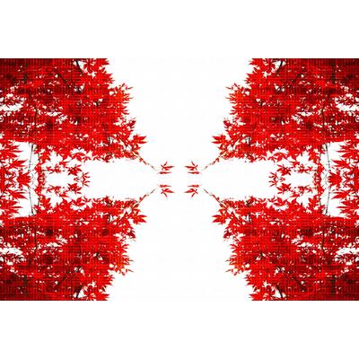 Fototapete ARCHITECTS PAPER "Artwork Trees", rot (rot, weiß), B:4m L:2,7m, Vlies, Tapeten, Vlies, Wand, Schräge