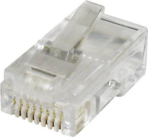 Econ Connect MPL88 Modular-Stecker MPL88 Stecker, gerade Polzahl Sensoren 8P8C Klar