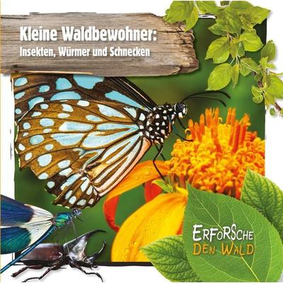 Kleine Waldbewohner: Insekten, Würmer und Schnecken, Set von Robin Twiddy, Globolino Verlag, 978-94-6341-567-5