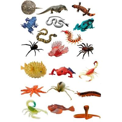 Toxic Creatures - giftige Tiere zum Sammeln - Planet WOW
