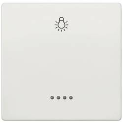Siemens Schalterprogramm Symbolwippe Licht DELTA style Platin 5TG71461 1 St.
