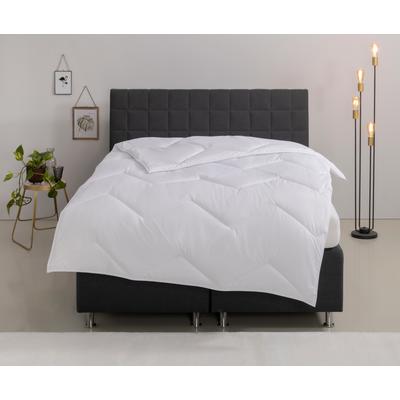 Microfaserbettdecke OTTO HOME "Sartes, Bettdecke 135x200 cm, 155x220 cm", weiß, B:135cm L:200cm, Bezug: 100% Polyester. Füllung: 100% Polyester, Bettdecken, Microfaserbettdecke, Bettdecken, Sommer, Decke, für Allergiker geeignet