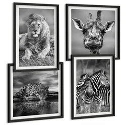 BILDER SET 4er Set - 50x50 cm & 40x60 cm Schwarzer Rahmen - Wildtiere Löwe Jaguar Giraffe Zebras