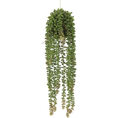 Kunstpflanze I.GE.A. "Künstlicher Senecio Hänger", grün, B:14cm H:51cm L:14cm, Kunststoff, Kunstpflanzen, Kunstpflanze, Hängepflanze Perlenschnur auf Mooskugel Realistische Sukkulente Deko