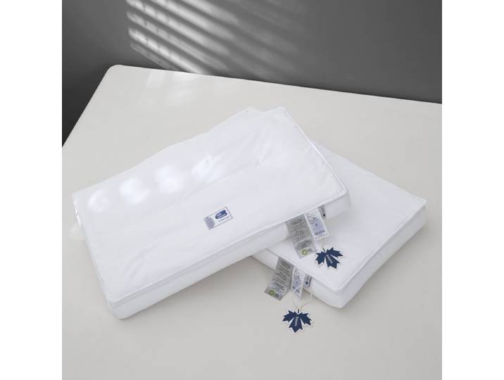 Oreiller en soie de mûrier pour dormir, garnissage en soie naturelle, blanc, en satin, anti-acariens, doux, pour le soin de la santé, literie d'hôtel, oreillers pour le cou