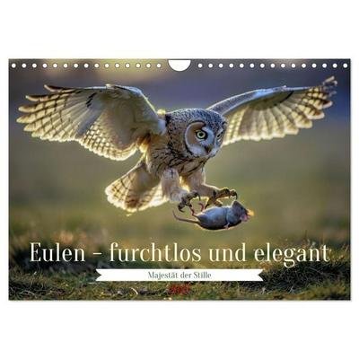 Eulen - furchtlos und elegant (Wandkalender 2027 DIN A4 quer), CALVENDO Monatskalender