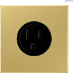 Jung Steckdose US-Norm NEMA 15A 125V, Me. classic ME 2521-15 C