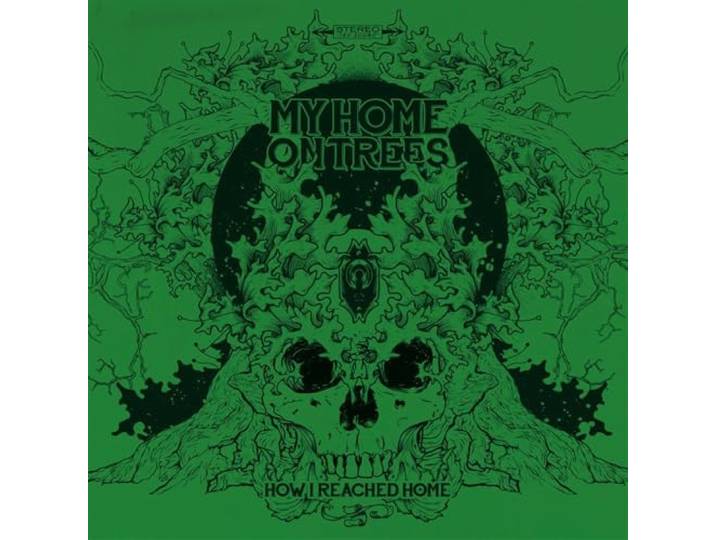 My Home On Trees - How I Reached Home